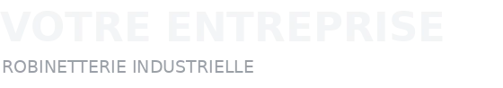 Votre entreprise — robinetterie industrielle